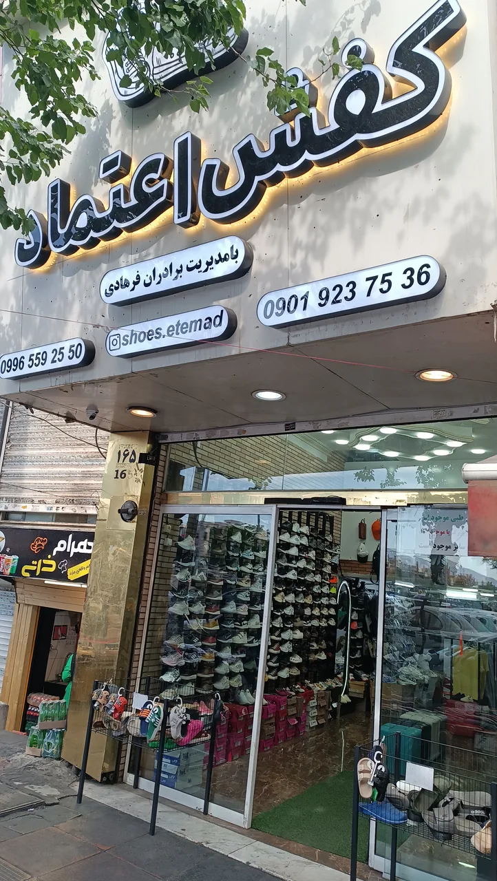کفش اعتماد - تصویر 4