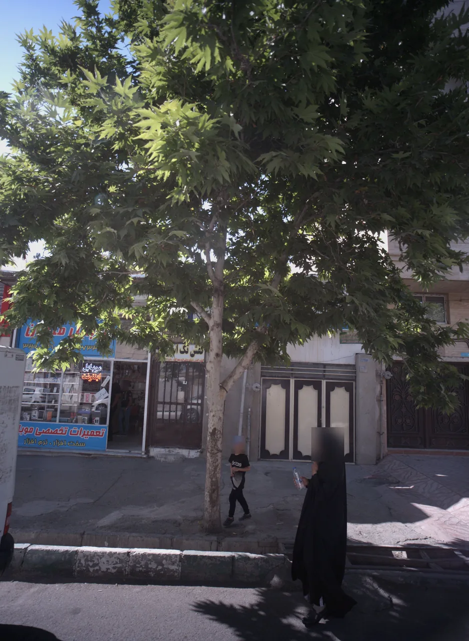 کفش تک اسپرت