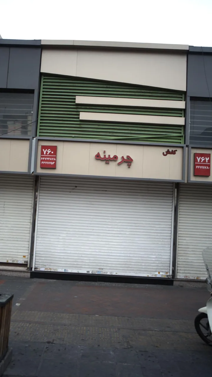 کفش چرمینه