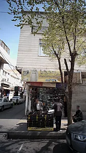 اسپرت ارشیا