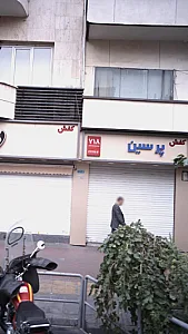 کفش پرشین