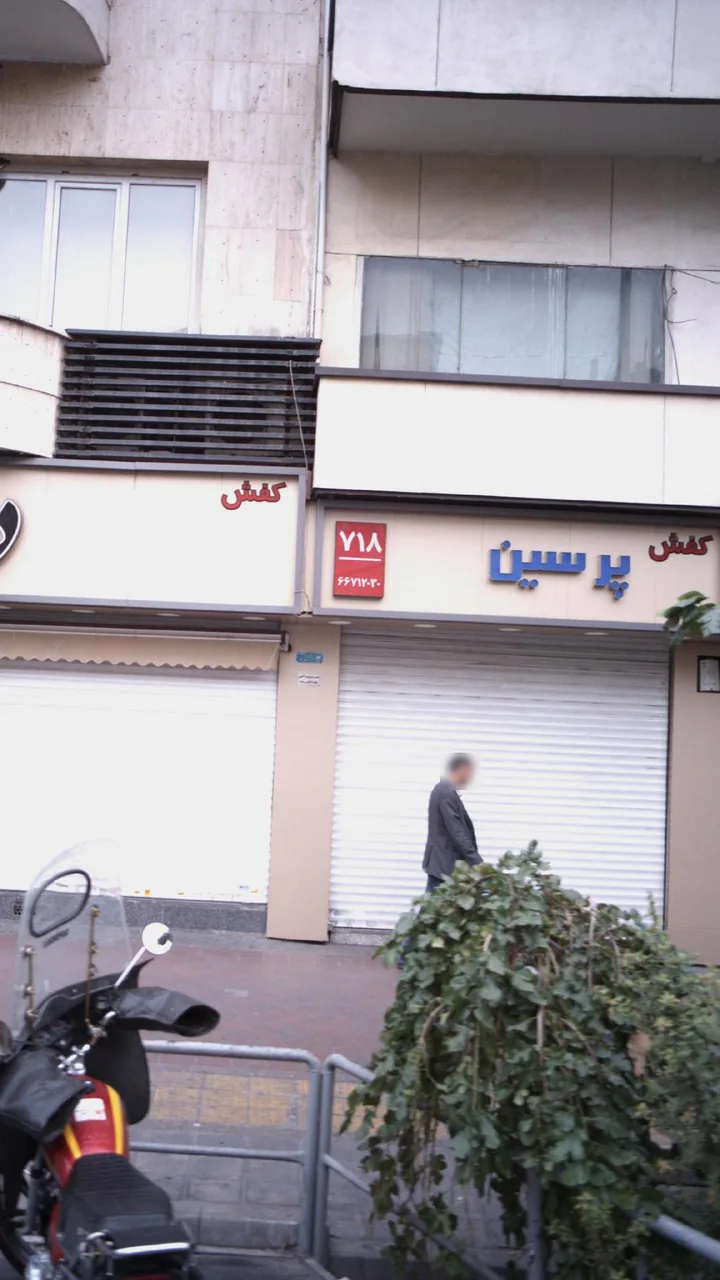 کفش پرشین