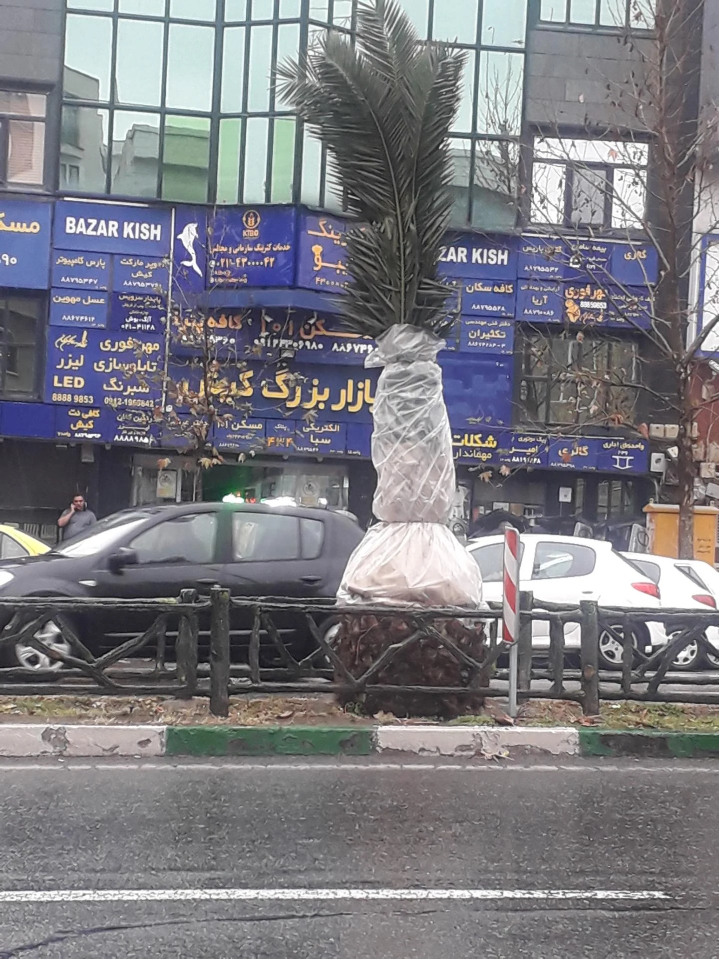 یارا پویش