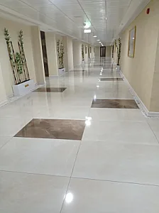 مجتمع حیات سبز