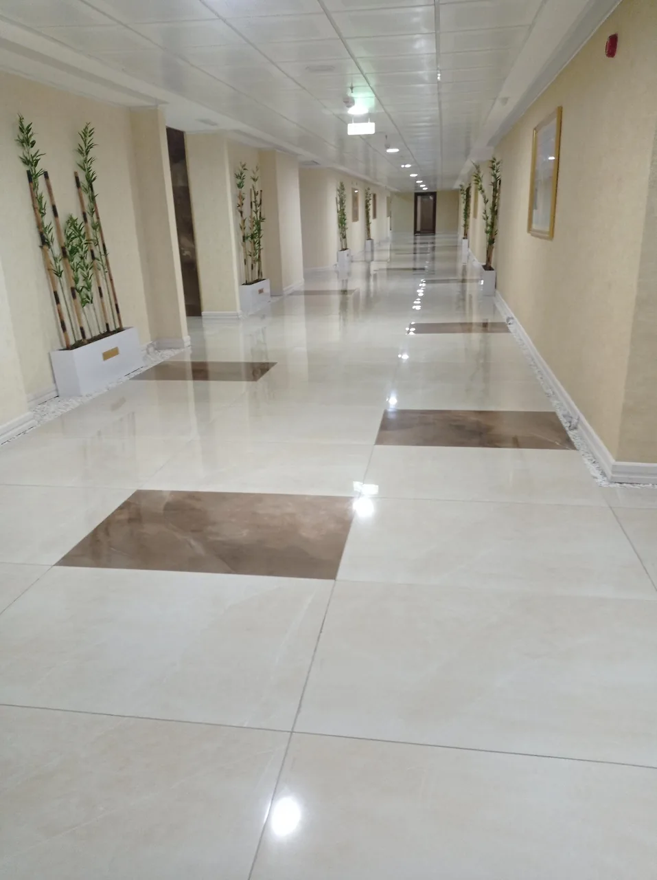 مجتمع حیات سبز