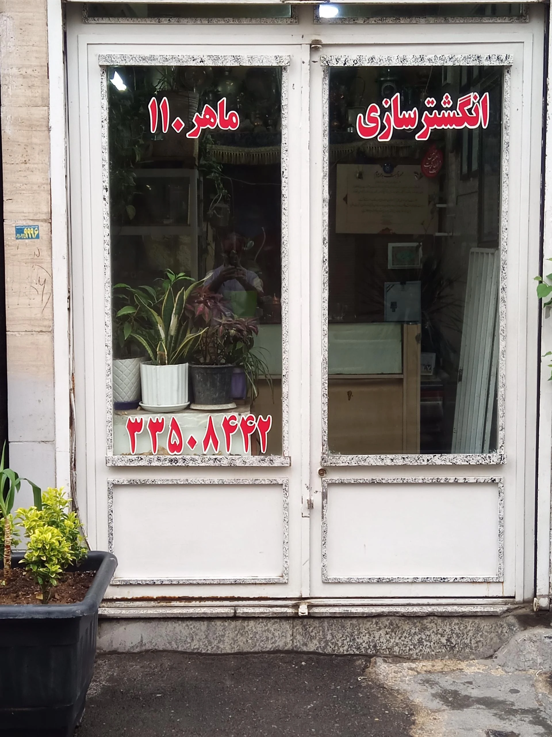 تاپ برنز - تصویر 2
