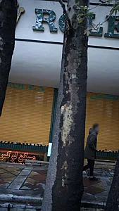 پاساژ رولکس