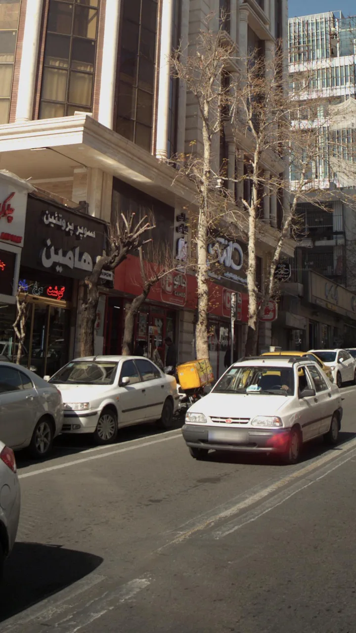 جانبو - تصویر 2