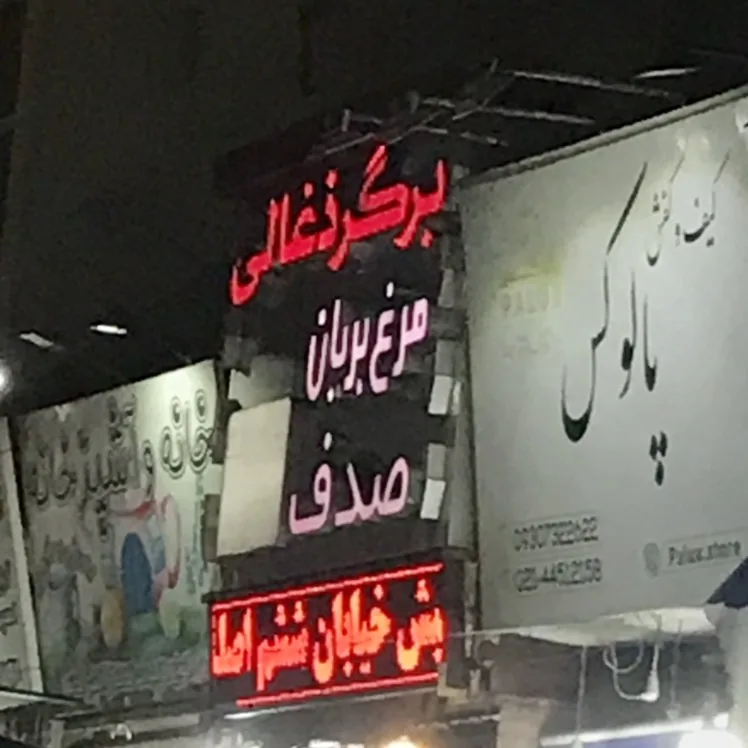 برگر زغالی صدف