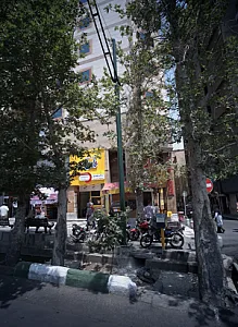 نامی نو لند