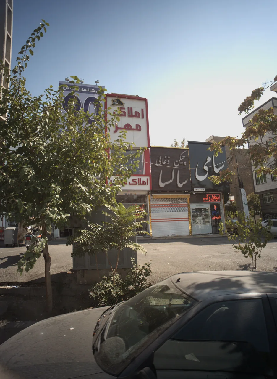 چیکن ذغالی سالسا