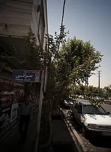 پیتزا گلها