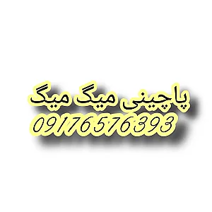 پاچینی میگ میگ