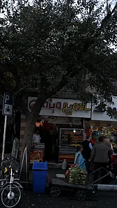 ساندویچ ویژه