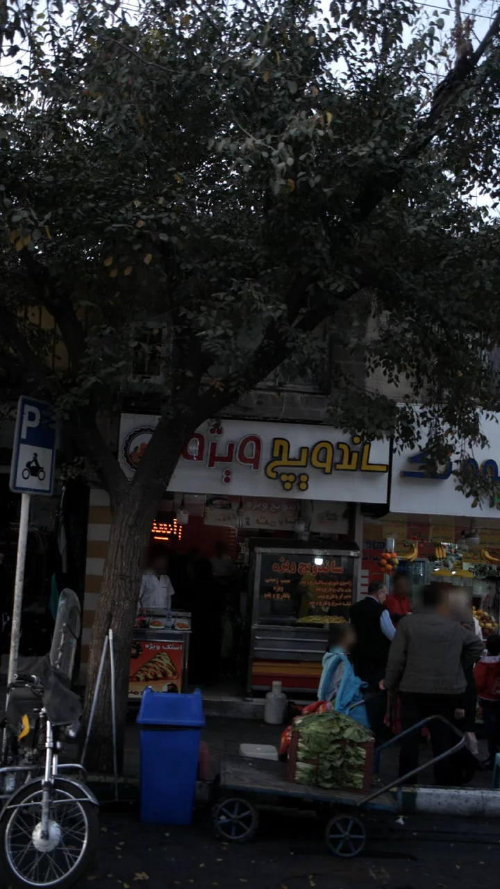 ساندویچ ویژه
