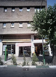 پیتزا ساندویچ شانس