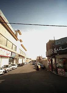 ساندویچ گرین