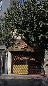 کارنیک