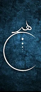 هیچ فود