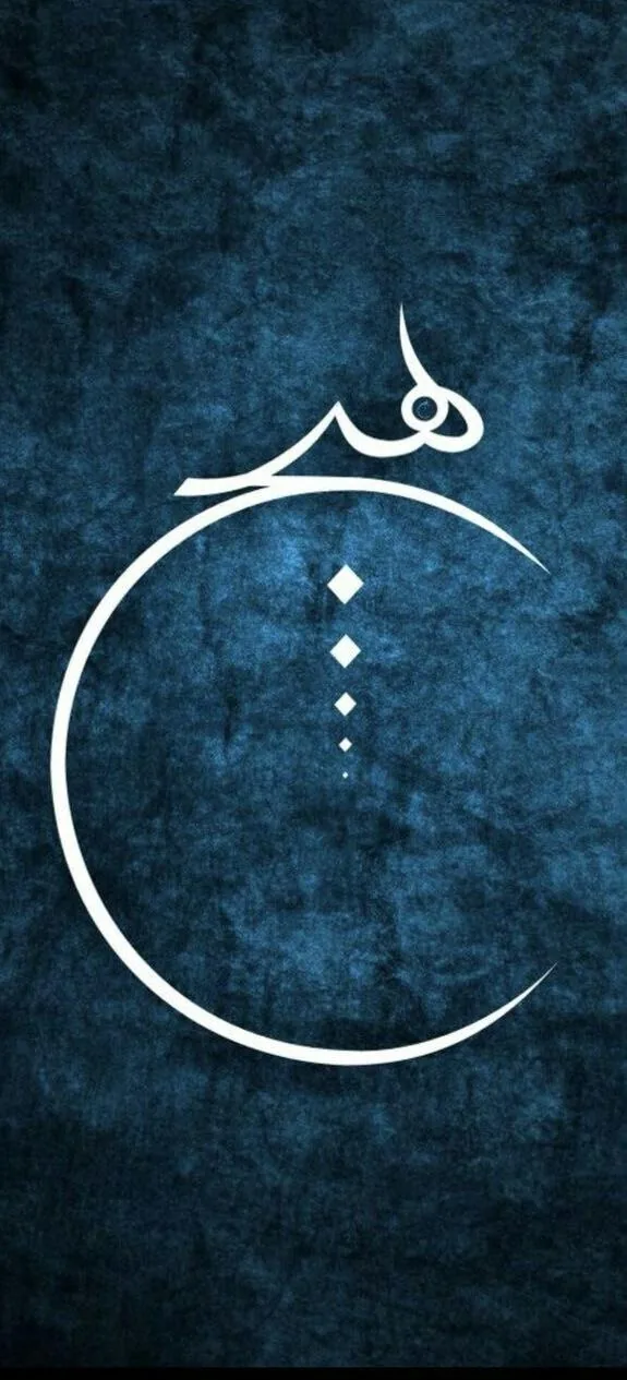 هیچ فود