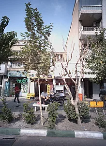 فلافل دایان