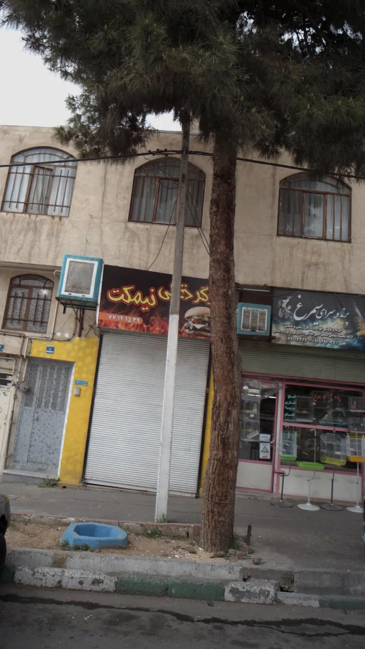 برگر ذغالی نیمکت