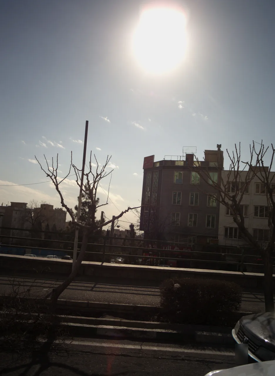 ویژه اژدر