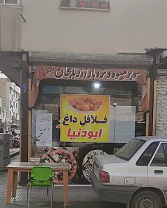 فلافل ابودنیا