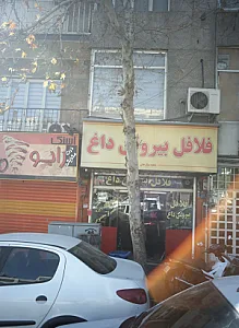فلافل بیروتی داغ