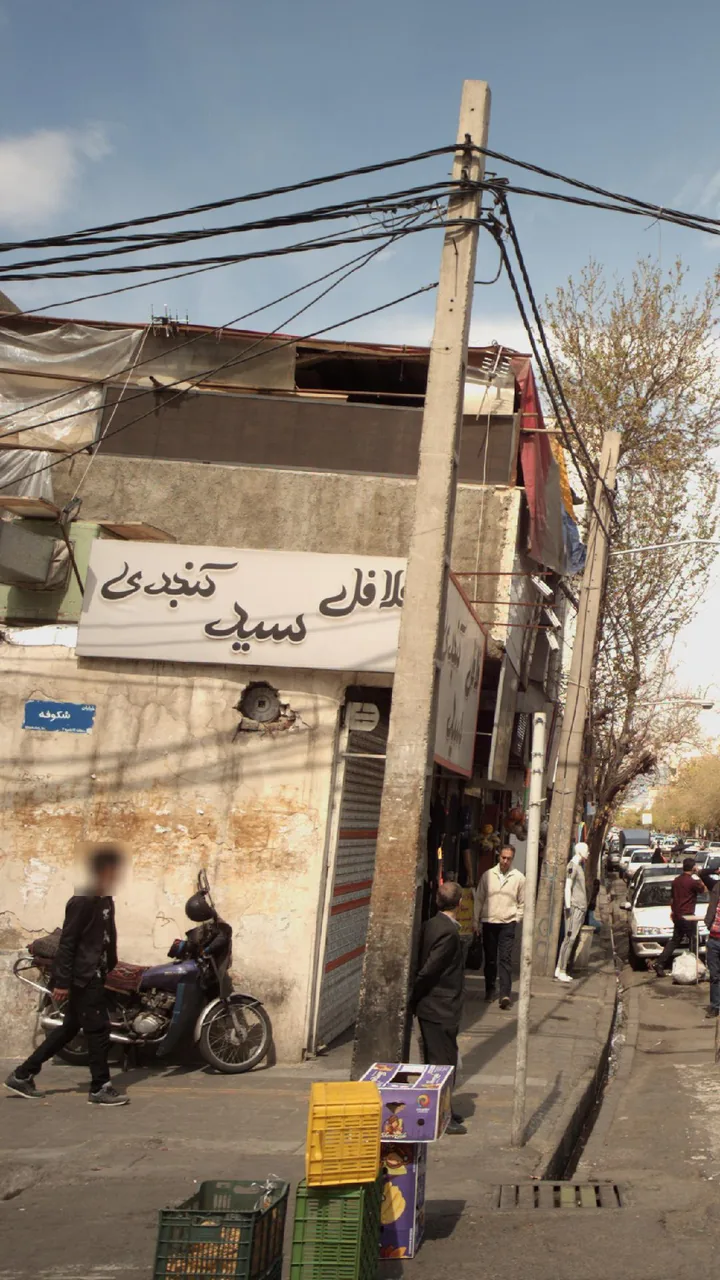 فلافل کنجدی سید - تصویر 3