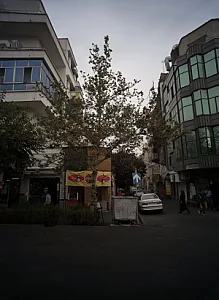 ساندویچی هفت چنار