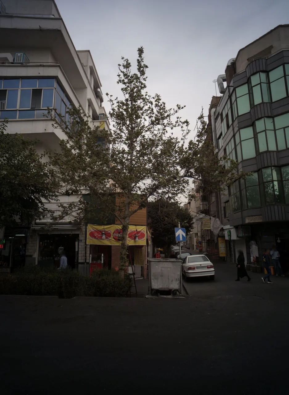 ساندویچی هفت چنار