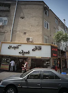 فلافل کنجدی سید