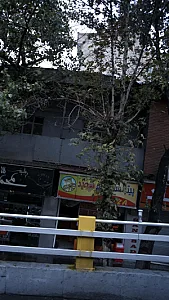پیتزا سعید