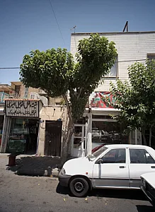 ساندویچ برگ سبز