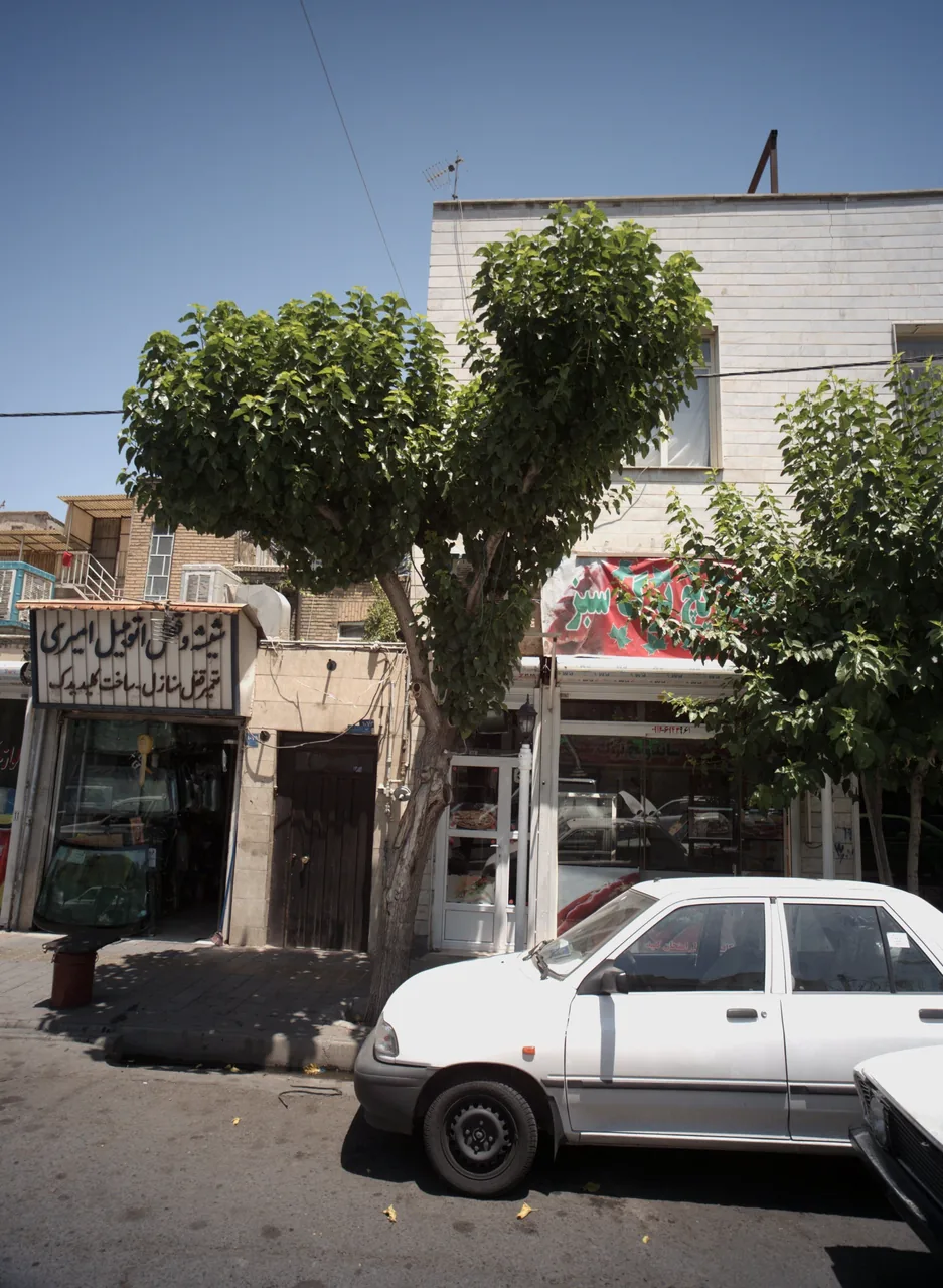 ساندویچ برگ سبز