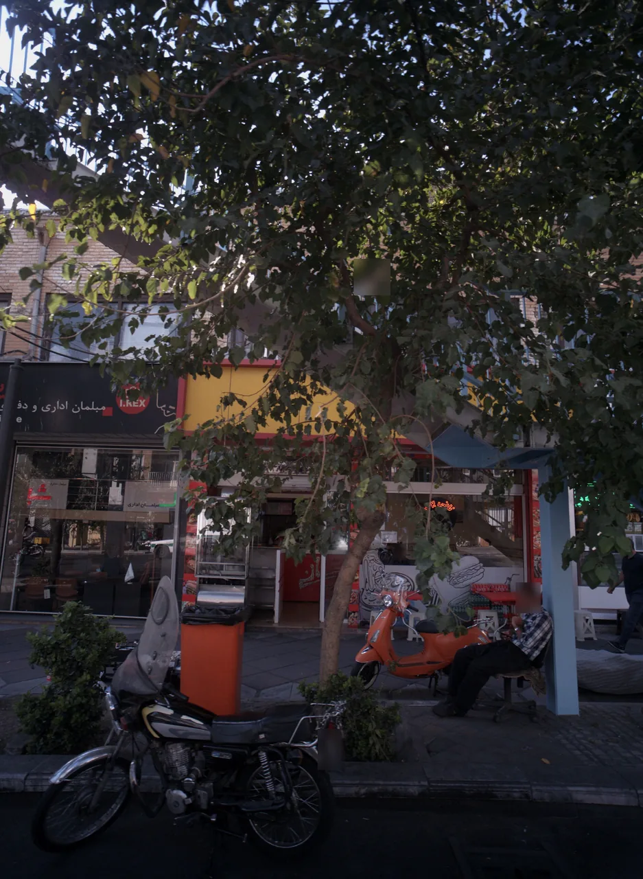 نانی برگر