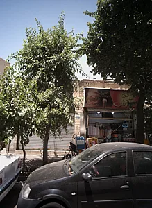 ساندویچ آرش