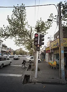 پیتزا ساندویچ گل پسر