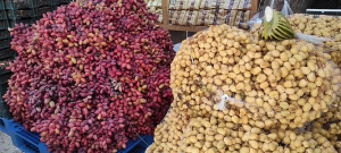 فروشگاه خرما و خشکبار دهقانی
