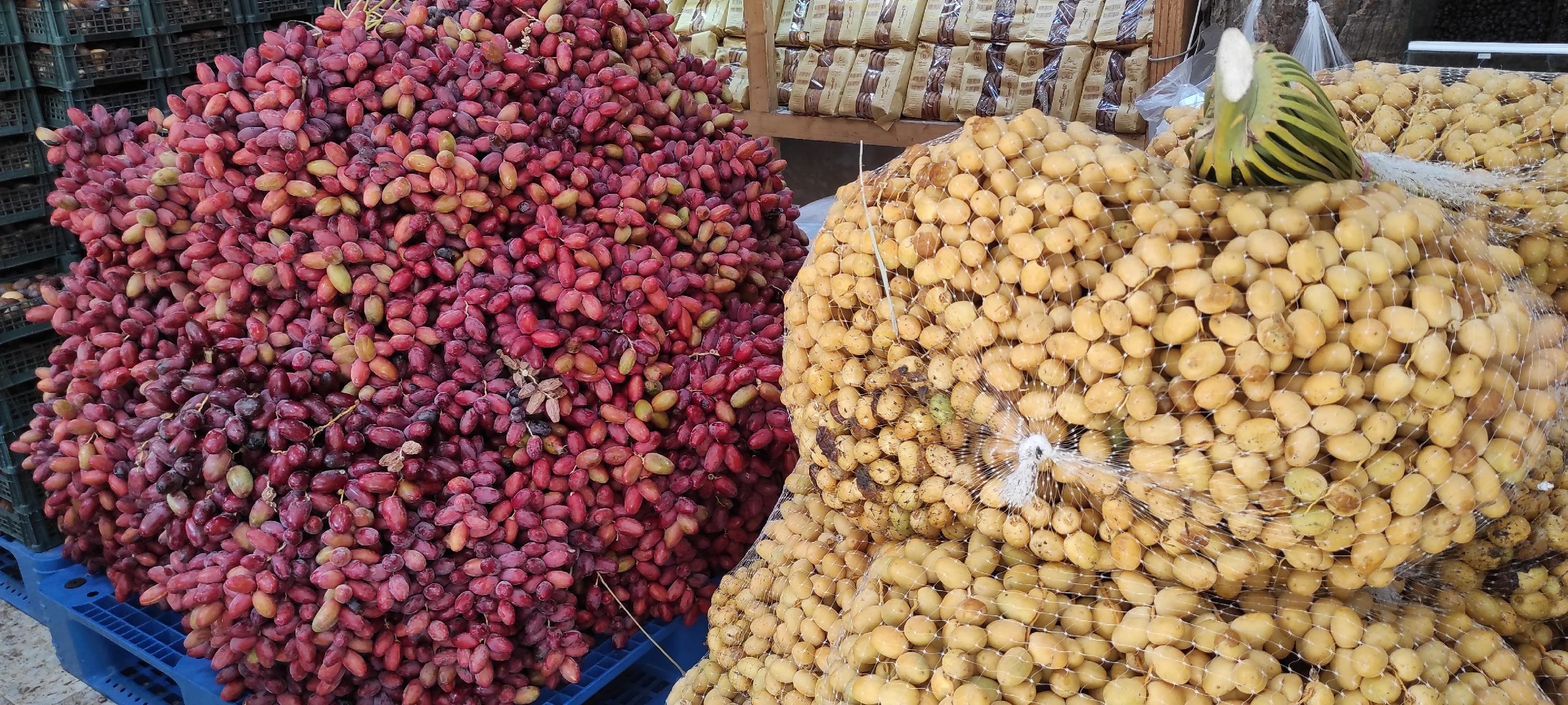 فروشگاه خرما و خشکبار دهقانی