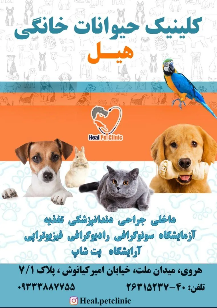 کلینیک دامپزشکی هیل - تصویر 2