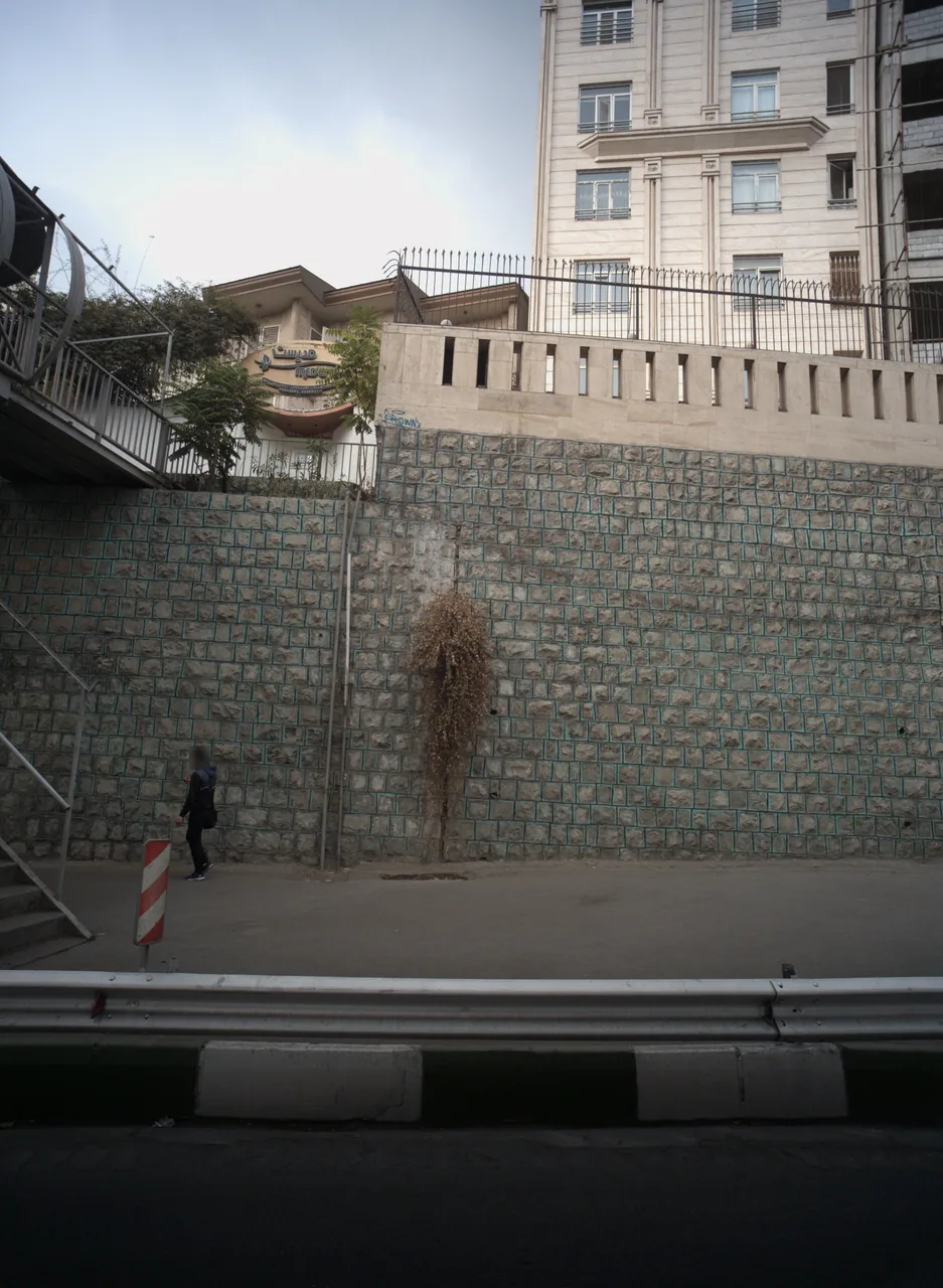 دندانپزشکی مدیست