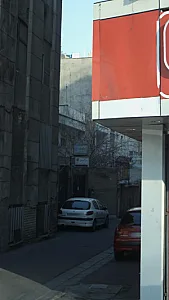 فریده شایان نیک