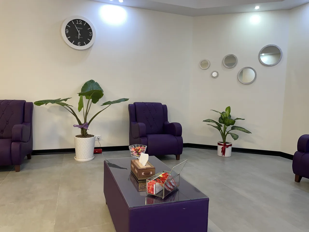 مجموعه زیبایی مینو - تصویر 6
