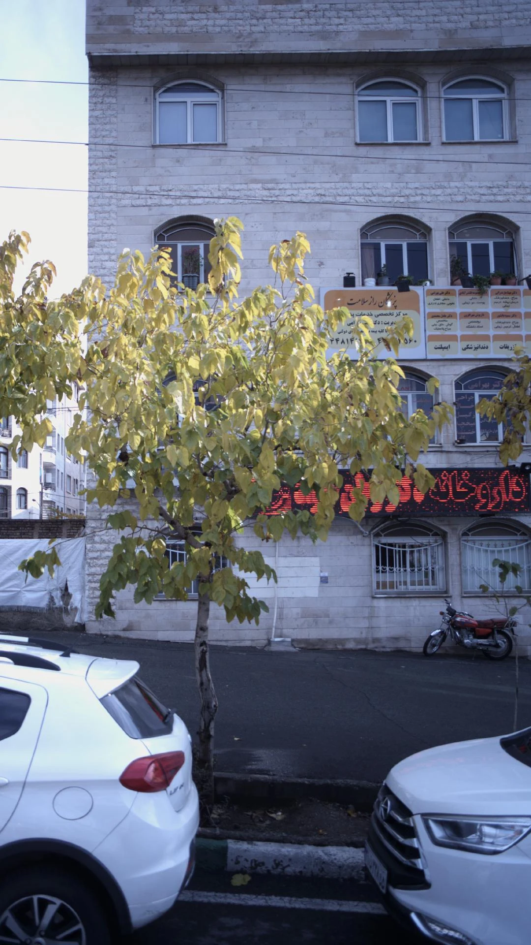 گروه دندانپزشکان نیلی - دندانپزشک در تهران - تصویر 4