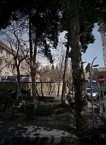 دکترمحسنی زنوزی