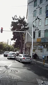 معصومه سلیمی