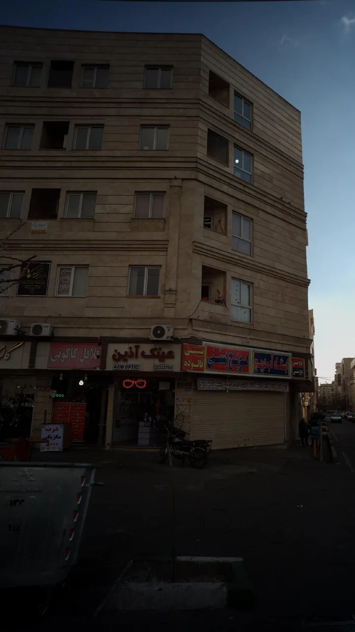 شادی علیان نژاد