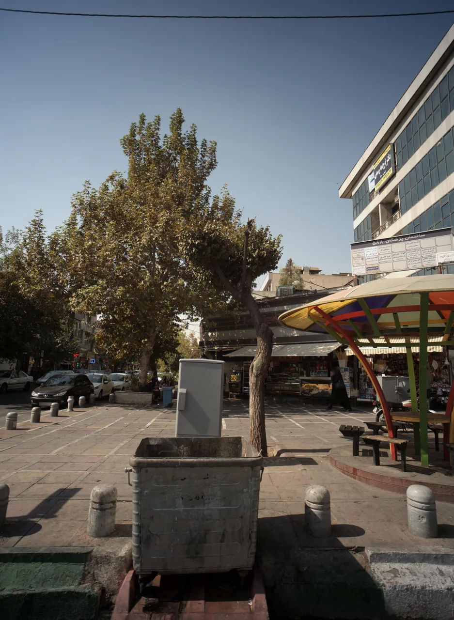 دکترمحمد ریاستی